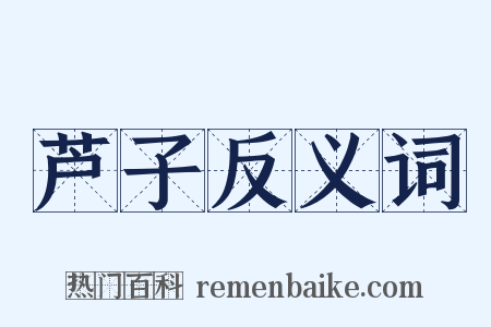 芦子反义词是什么意思的图片